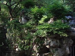 -墅园