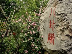-青龙山国家森林公园