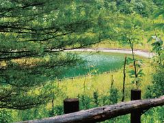 -武陵山森林公园