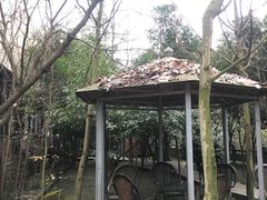 -水岸庭院·乡村柴火鸡
