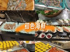 -初色海鲜自助(万丰路店)