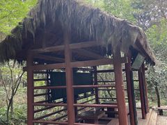 -铁山坪森林公园