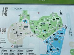 -红山森林动物园