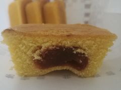 金砖山楂-百年义利(福长街店)