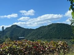 -北京中信金陵酒店