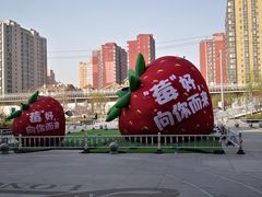 -翠微百货(龙德店)