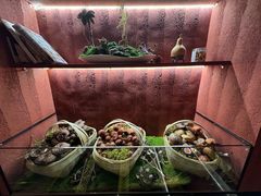 -滇野云南野生菌餐厅(陕西南路店)