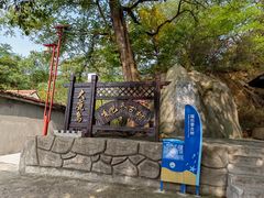 -大鹿岛
