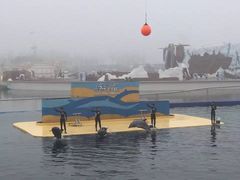 -秦皇岛乐岛海洋王国