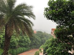 -圣爵菲斯大酒店(长沙世界之窗店)