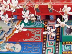 -碑林公园