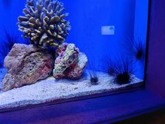 -上海海洋水族馆