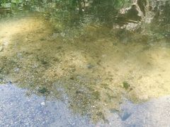 -碓臼峪自然风景区