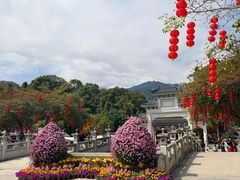 -满記土窑烧鷄波浪山莊