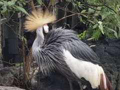 -昆明动物园