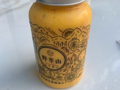 -野萃山·潮汕厚果汁(十亩地店)