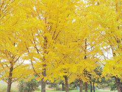 -北京植物园-展览温室