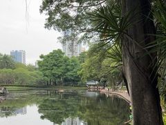-晓港公园