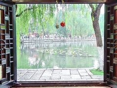 -百花洲