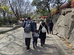 -巢湖姥山岛