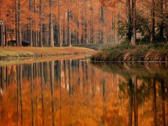 -黄海国家森林公园