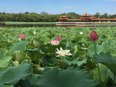 -南戴河国际娱乐中心