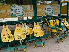 -保定市动物园