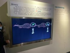 -白鹤梁水下博物馆