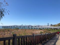 -星海湾跨海大桥