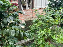 -后谷咖啡(建设巷店)