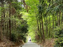 -冶父山国家森林公园