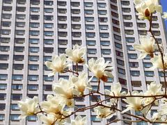 -上海花园饭店