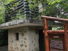 -华侨城湿地公园