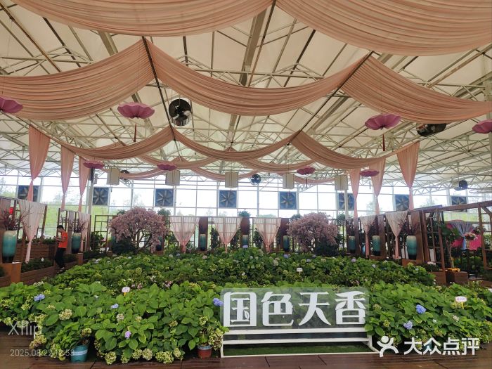 盈香心动乐园图片