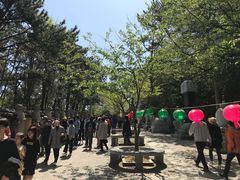 -海东龙宫寺