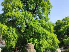 -报恩寺(平武县)