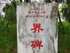 -鱼嘴湿地公园
