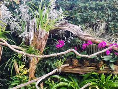 -北京植物园-展览温室