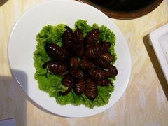-老佛爷炭火蛙锅直营(清滨路总店)