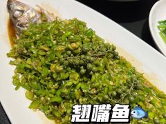 翘壳鱼-蜀国演义(黄寺大街店)