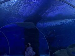 -多彩贵州城极地海洋世界