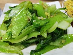 -盛燕泥丁粥