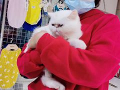 -欧奕国际动物医院