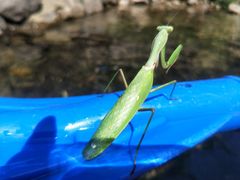 -安吉龙王山峡谷漂流