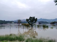 -金海湾滨江公园