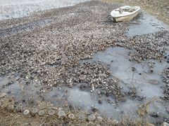 -天津东丽湖风景区
