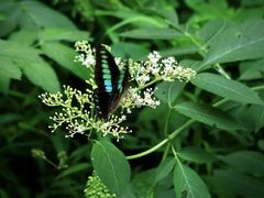 -南山风景名胜区