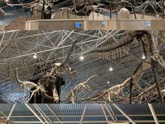 -世界恐龙谷景区
