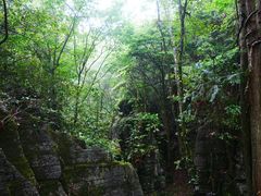 -梭布垭石林景区