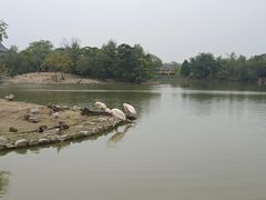 -盐城丹顶鹤湿地生态旅游区